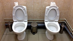 Sochi Twin Toilets